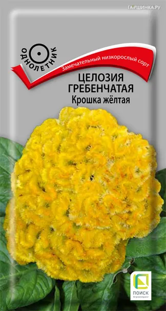 Целозия гребенчатая Крошка желтая 0,1, Поиск