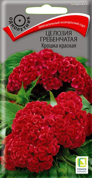 Целозия гребенчатая Крошка красная 0,1, Поиск