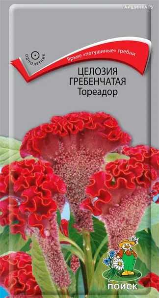 Целозия гребенчатая Тореадор 0,1, Поиск