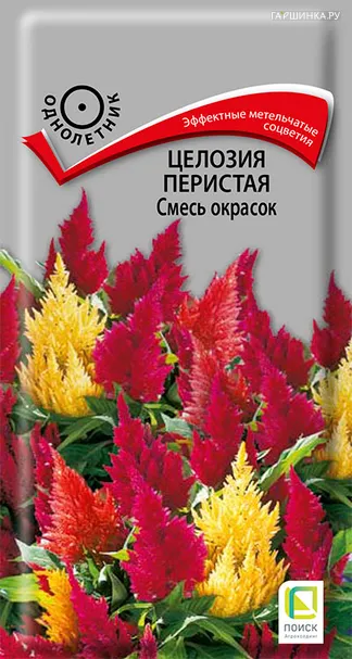 Целозия Смесь окрасок перистая 0,1 г, Семена Поиск