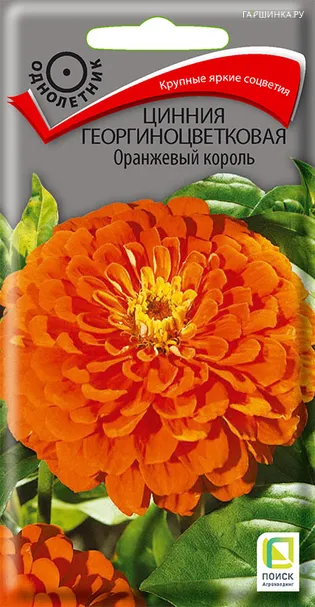Цинния георгиноцветковая Оранжевый король 0,4, Поиск