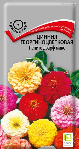 Цинния георгиноцветковая Пепито дварф микс 0,4, Поиск