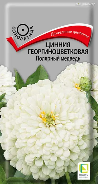 Цинния георгиноцветковая Полярный медведь 0,4, Поиск