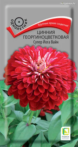 Цинния георгиноцветковая Супер Йога Вайн 0,4, Поиск