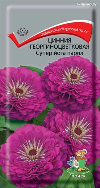 Цинния георгиноцветковая Супер йога парпл 0,4, Поиск