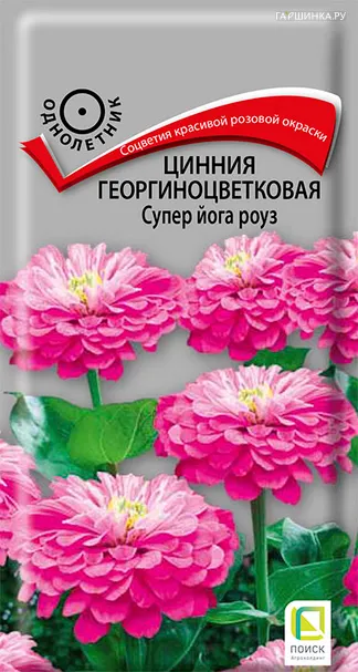 Цинния георгиноцветковая Супер йога роуз 0,4, Поиск