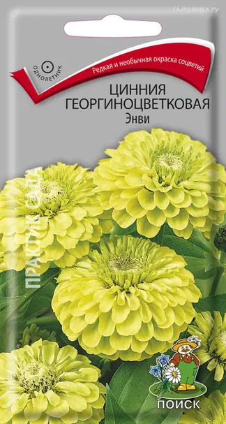 Цинния георгиноцветковая Энви 0,4, Поиск