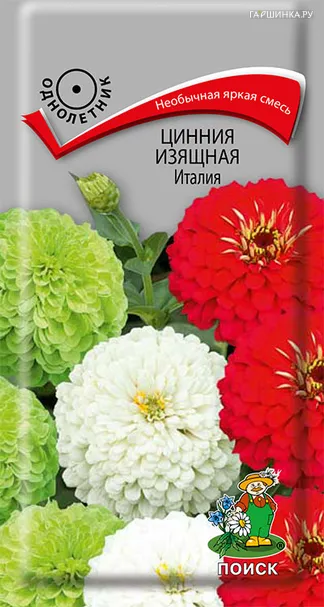 Цинния изящная Италия 0,4, Поиск