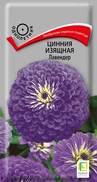 Цинния изящная Лавендер 0,4, Поиск