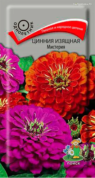 Цинния изящная Мистерия 0,4, Поиск