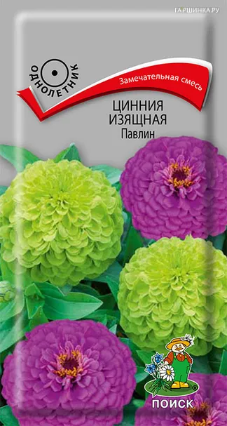Цинния изящная Павлин 0,4, Поиск