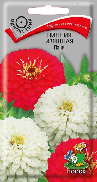 Цинния изящная Пани 0,4, Поиск