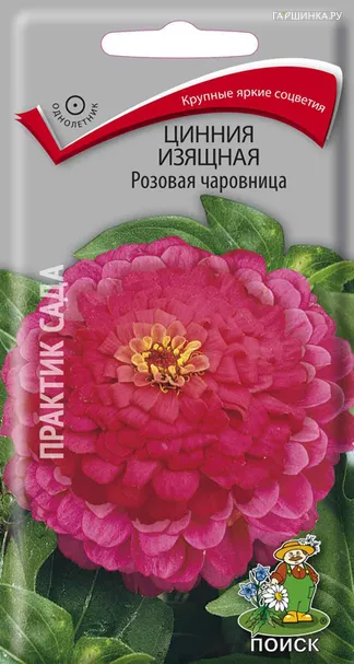 Цинния изящная Розовая чаровница 0,3, Поиск