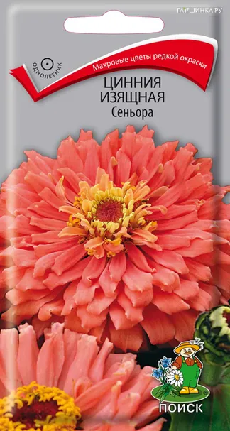 Цинния изящная Сеньора 0,2, Поиск