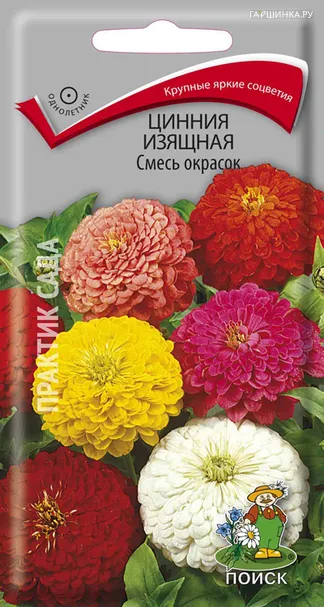 Цинния изящная Смесь окрасок 0,4, Поиск