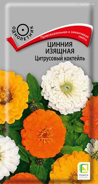 Цинния изящная Цитрусовый коктейль 0,2, Поиск