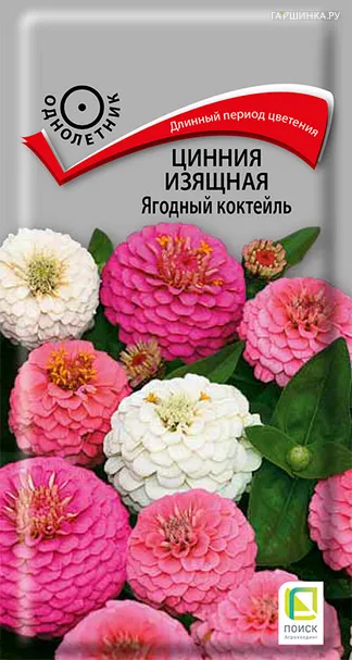 Цинния изящная Ягодный коктейль 0,2, Поиск