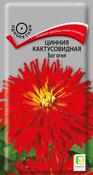 Цинния кактусовидная Бог огня 0,4, Поиск