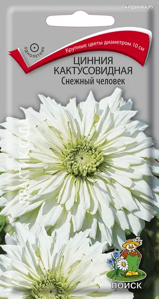 Цинния кактусовидная Снежный человек 0,4, Поиск