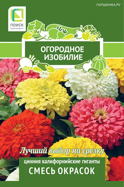 Цинния Калифорнийские гиганты Смесь окрасок 0,4, Поиск