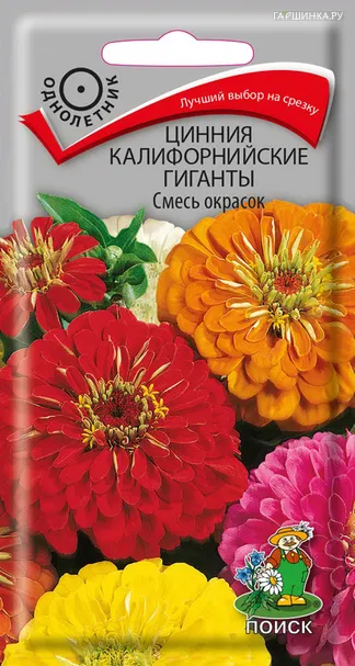 Цинния Калифорнийские Гиганты Смесь окрасок 0,4, Поиск