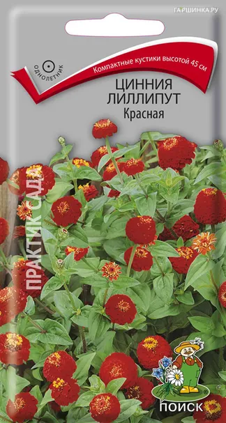Цинния лиллипут Красная 0,4, Поиск