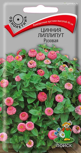 Цинния лиллипут Розовая 0,4, Поиск