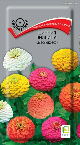Цинния лиллипут Смесь окрасок 0,4, Поиск