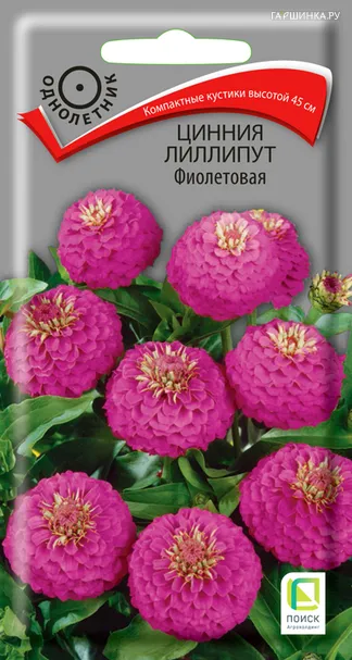 Цинния лиллипут Фиолетовая 0,4, Поиск