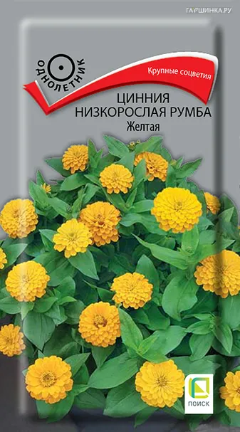 Цинния низкорослая Румба Жёлтая 0,1, Поиск
