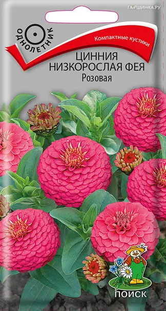 Цинния низкорослая Фея Розовая 0,1, Поиск