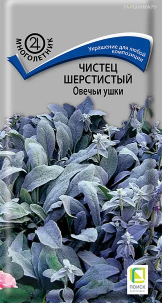 Чистец Овечьи ушки шерстистый 0,1 г, Семена Поиск