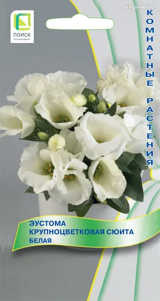 Эустома крупноцветковая Сюита Белая 5, Поиск