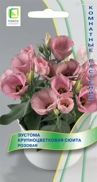 Эустома крупноцветковая Сюита Розовая 5, Поиск