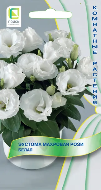 Эустома махровая Рози Белая 5, Поиск
