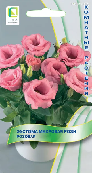 Эустома махровая Рози Розовая 5, Поиск