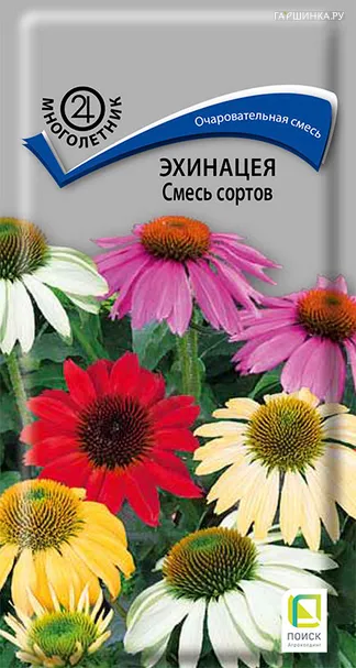 Эхинацея Смесь сортов 0,1, Поиск