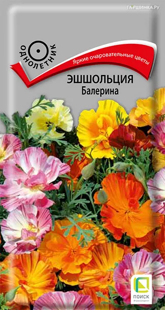 Эшшольция Балерина 0,15, Поиск