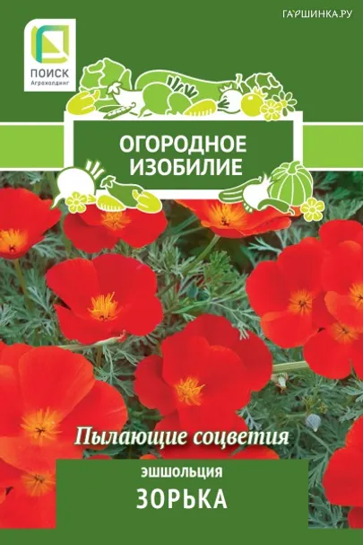 Эшшольция Зорька 0,2, Поиск