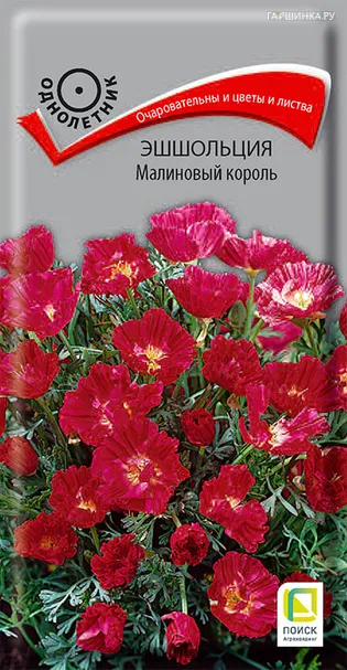 Эшшольция Малиновый король 0,2, Поиск