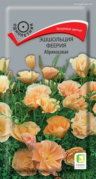 Эшшольция Феерия Абрикосовая 0,1, Поиск