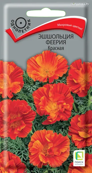 Эшшольция Феерия Красная 0,1, Поиск