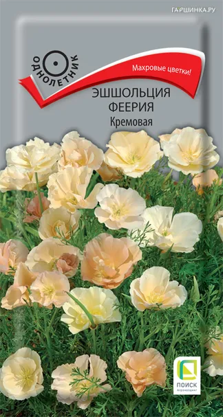 Эшшольция Феерия Кремовая 0,1, Поиск