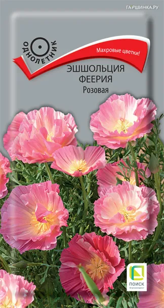 Эшшольция Феерия Розовая 0,1, Поиск