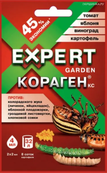 КОРАГЕН, КС