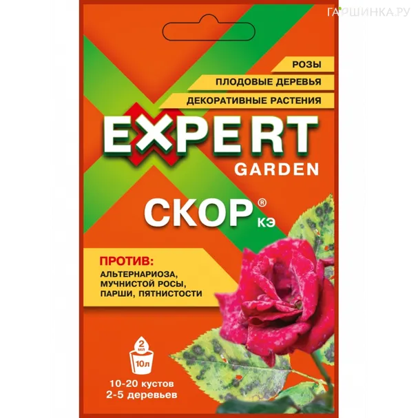 Скор, КЭ