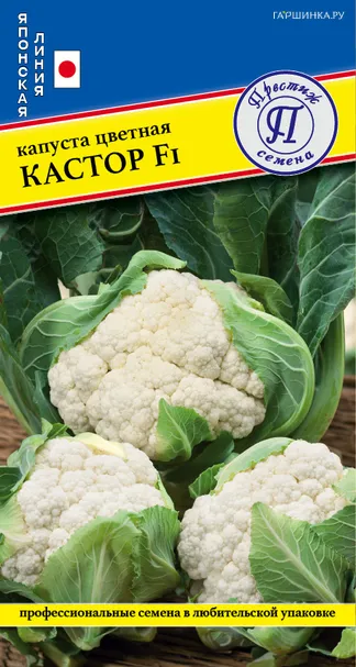 Цветная капуста Кастор F1 7 шт, Семена Престиж