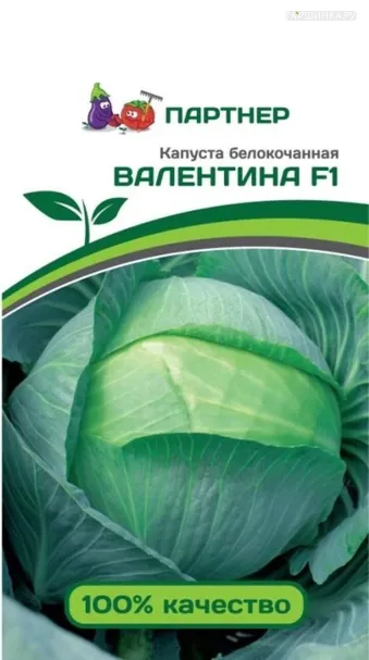 Капуста Валентина F1 позднеспелая 0,2 г