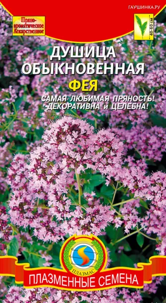 Душица (орегано) Фея 0,1 г, Плазменные семена