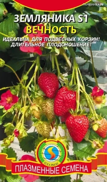 Земляника Вечность S1 10 шт, Плазменные семена